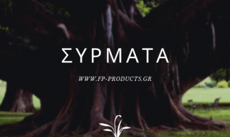 ΘEMA: Σύρματα και κόσμημα.